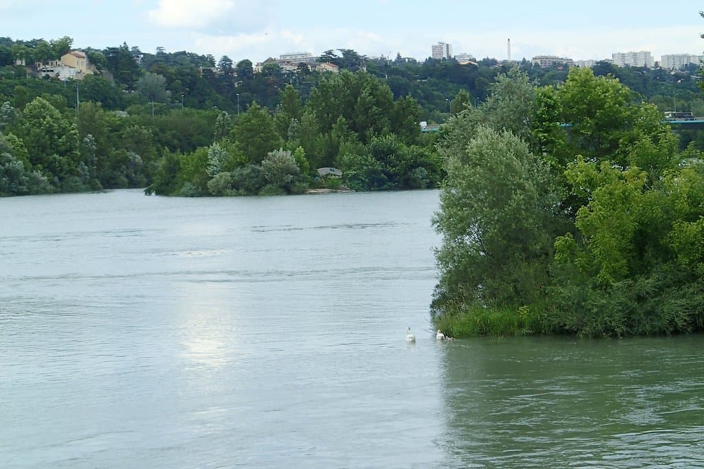 île aux castors