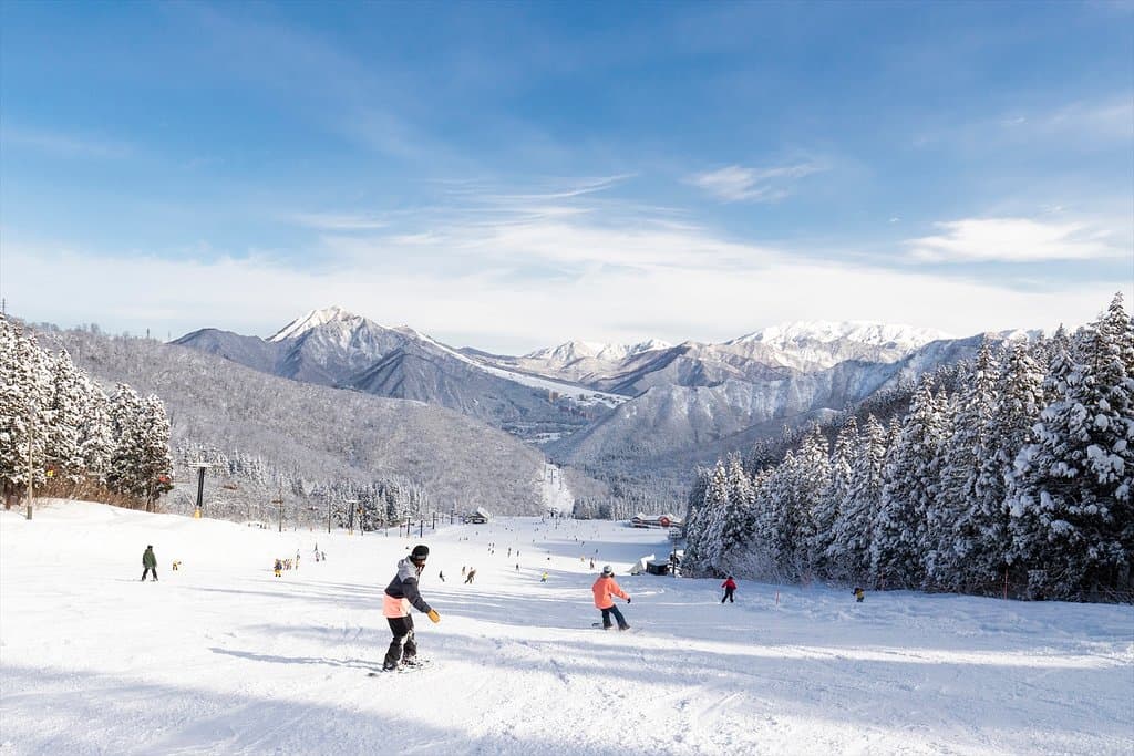 幅が広くてなだらかなメインゲレンデポルックス。カービングはもちろんのこと、初級者の練習バーンとしても最適です。