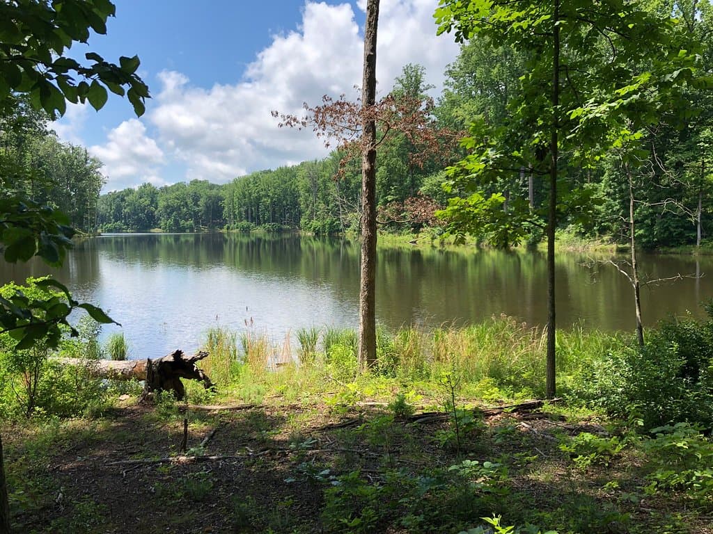 Ragged Mountain Natural Area