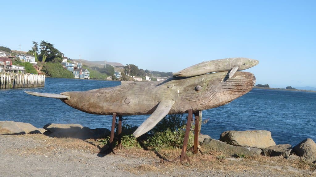 Spud Point Marina, Bodega Bay, Ca