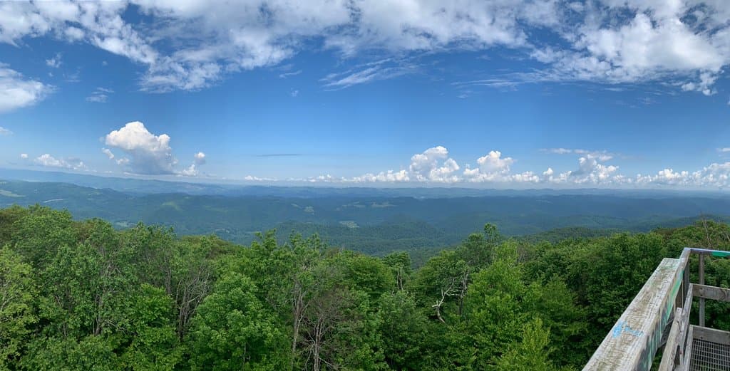 Bickle Knob Observation Tower