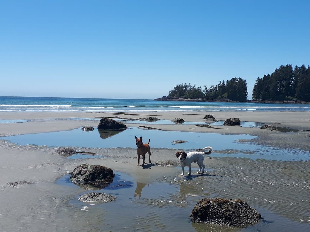 North end Florencia Bay