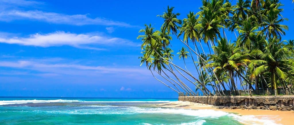 Image result for Importance of hikkaduwa beach Hikkaduwa is famous among tourists for its natural attractions: wide, clean beaches, coral garden, ocean with crystal clear water and hot sun are just to name a few. Combined with an active nightlife, many tourists come to Hikkaduwa for water sports such as surfing, boogie-boarding, snorkelling and scuba diving