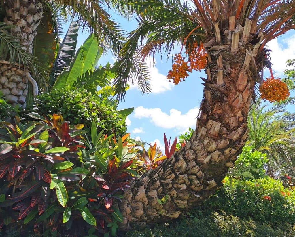 Hunan Forestry Botanical Garden