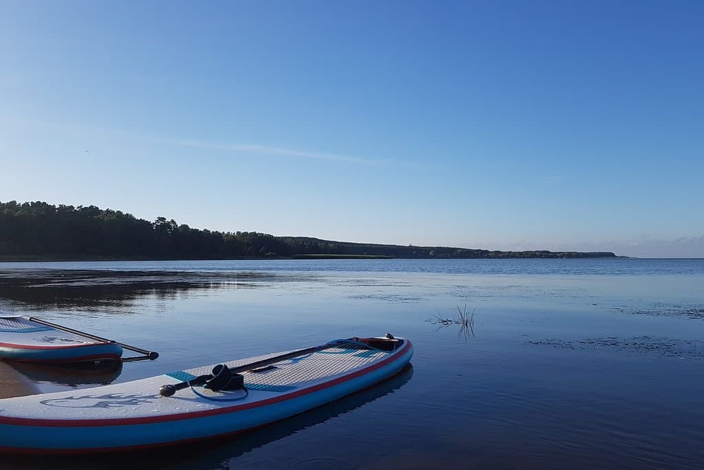 Preila Dune Viewpoint