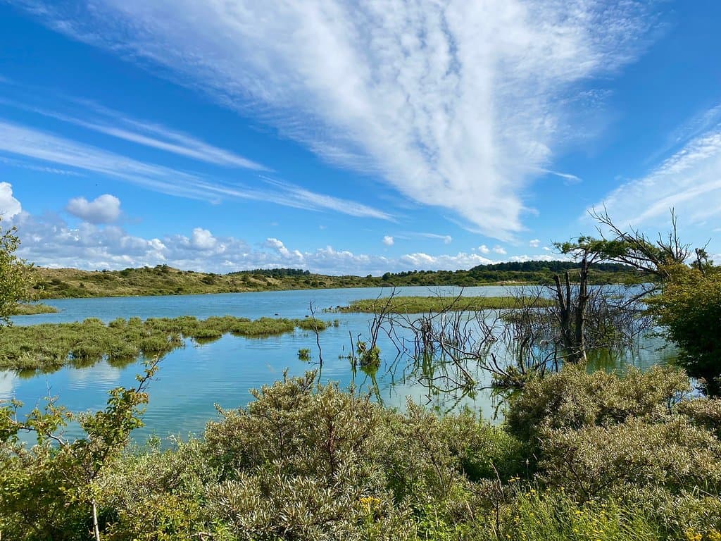 Zuid-Kennemerland National Park Netherlands