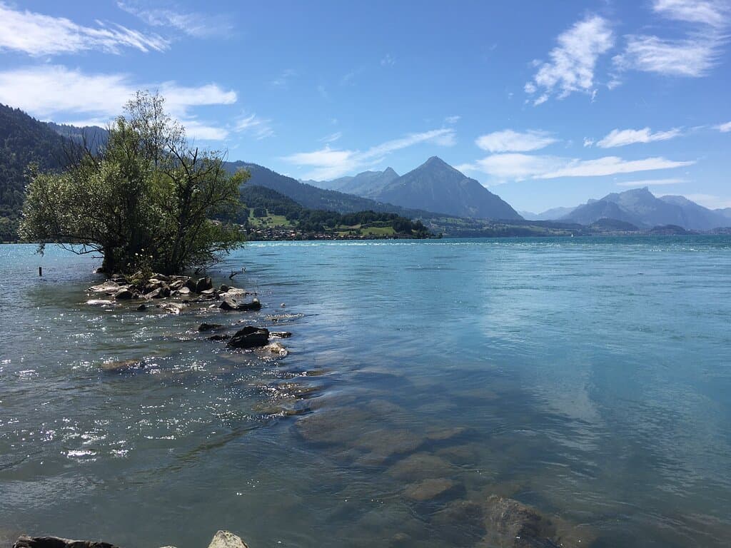 Weissenau Nature Reserve