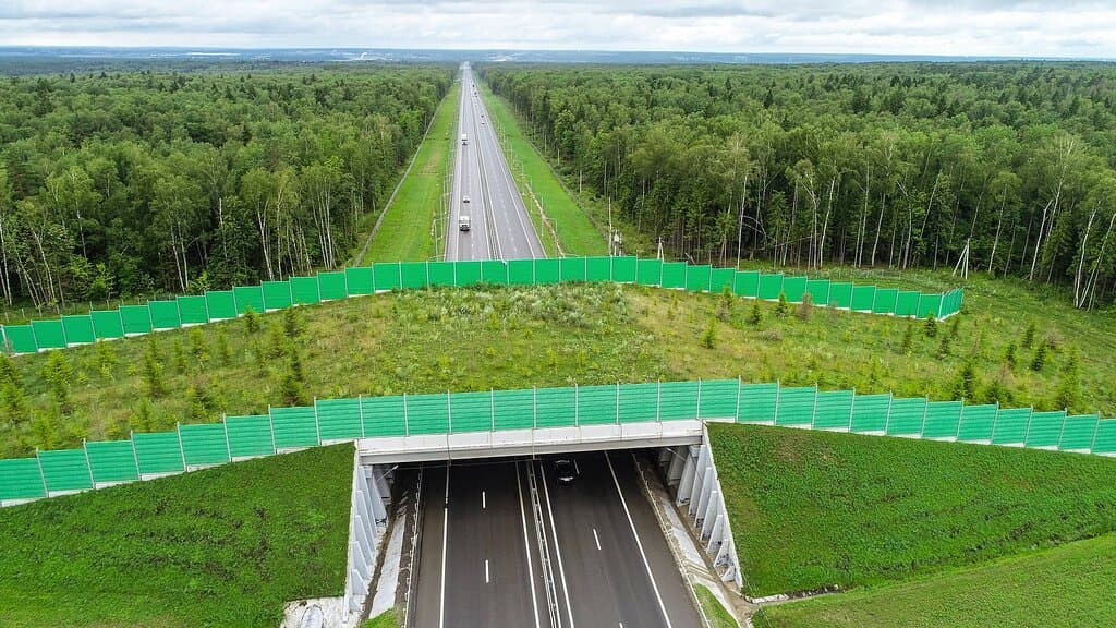 Первый экодук в стране