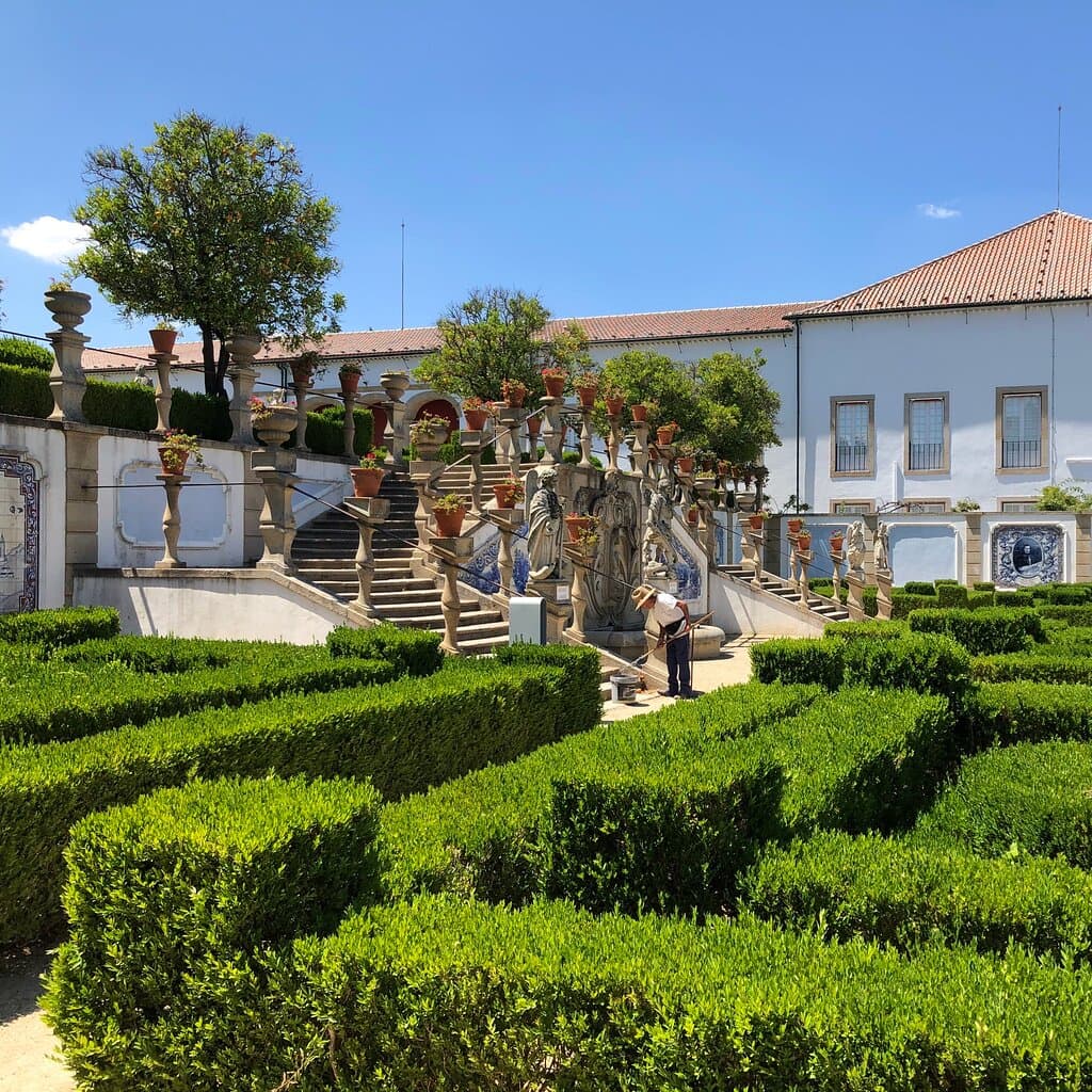 Pinguim - Prato do dia