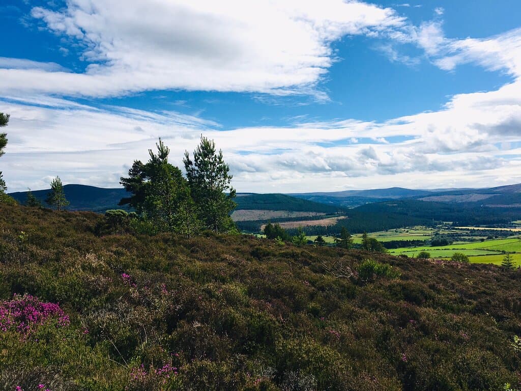 Views From The Climb.