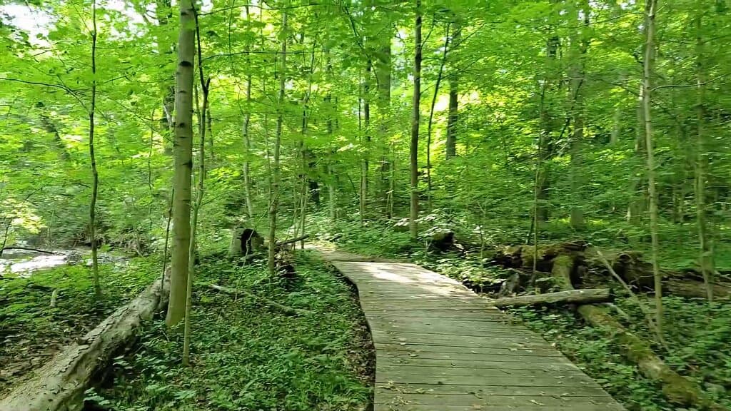 Absolutely lovely trails for beginner hikers with family and friends.