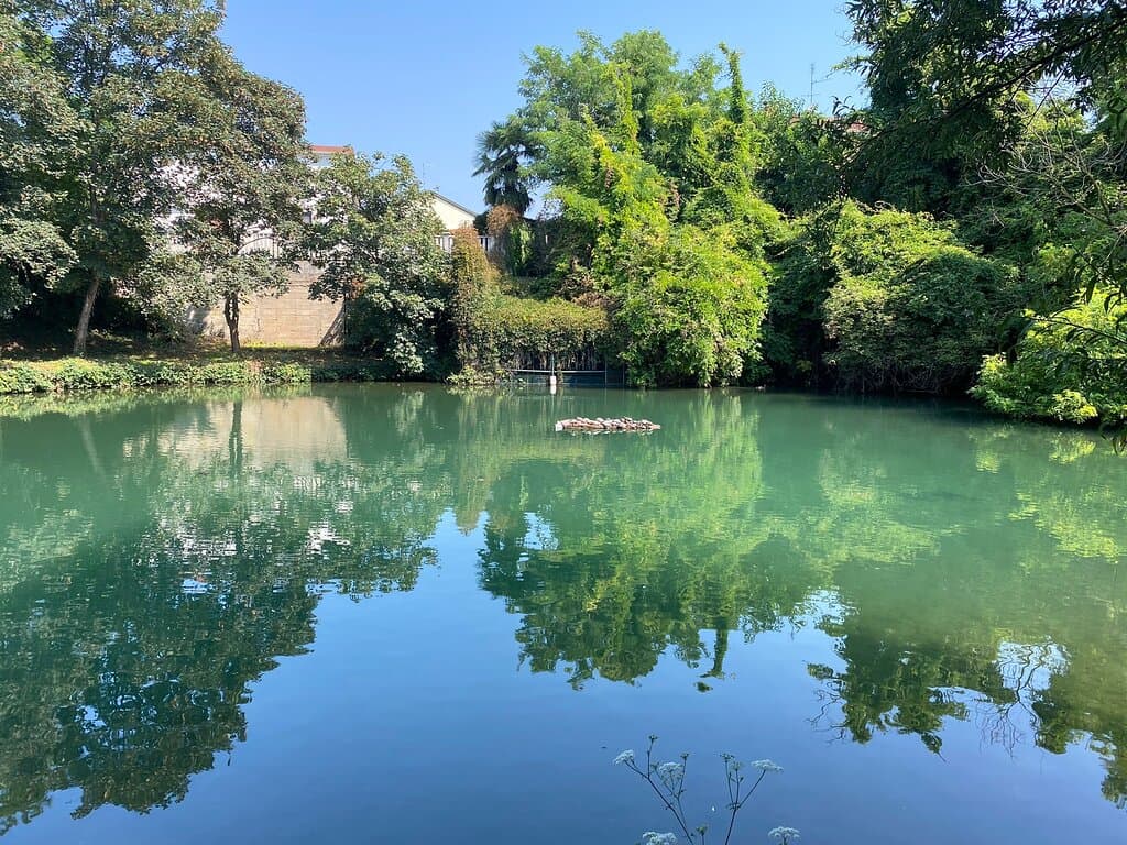 Go for a walk in Parco Arcadia