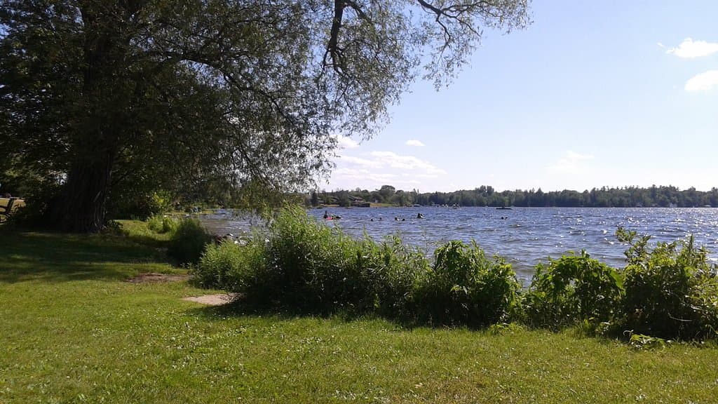 View from the north end of the park to the main swimming area.