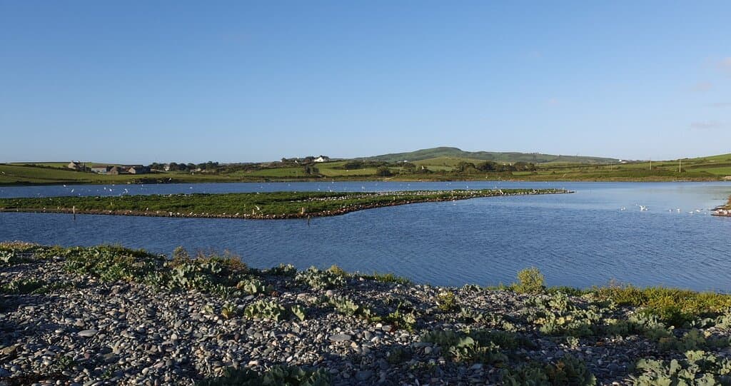 Cemlyn Bay Nature Reserve
