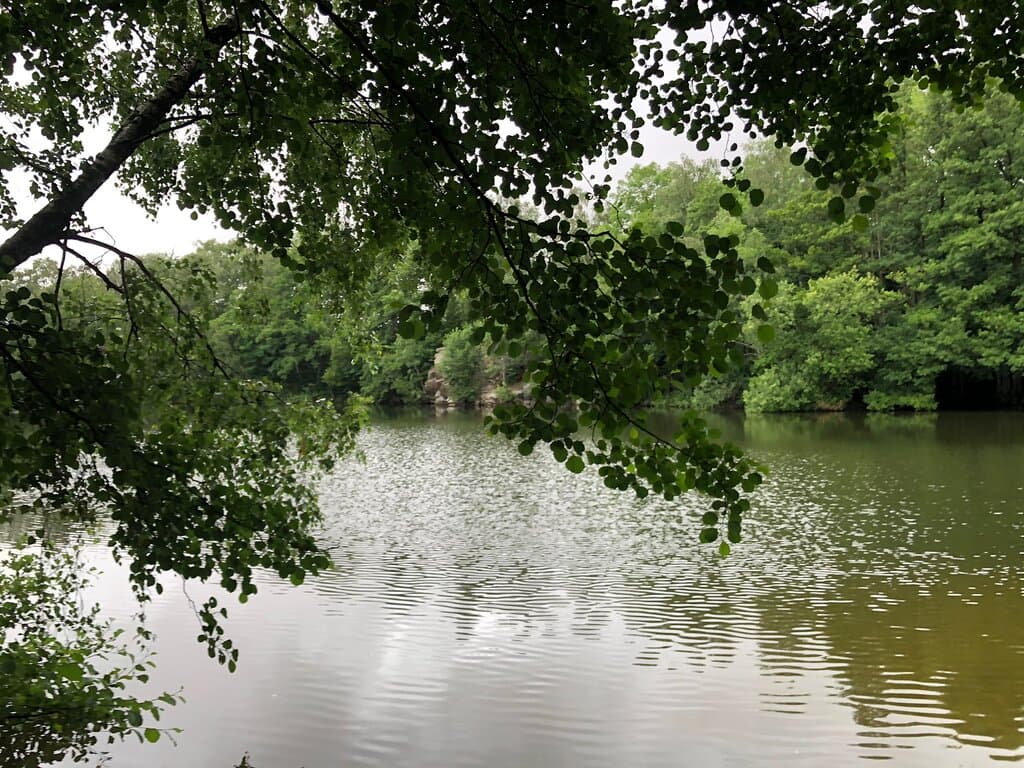 Billebjer Nature Reserve