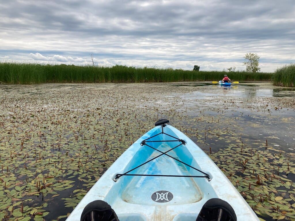 Howard Marsh Metropark
