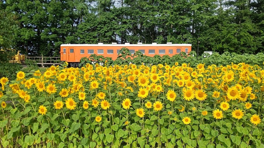 Kofuku Station Hokkaido