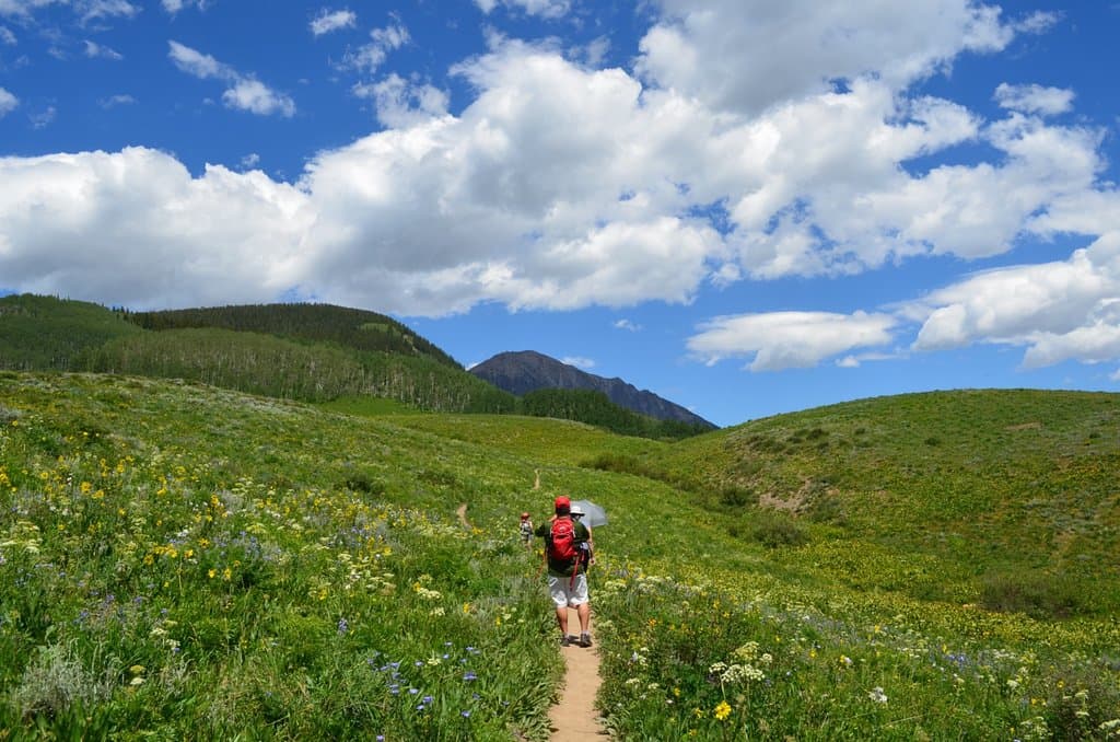 terrain is getting flatter