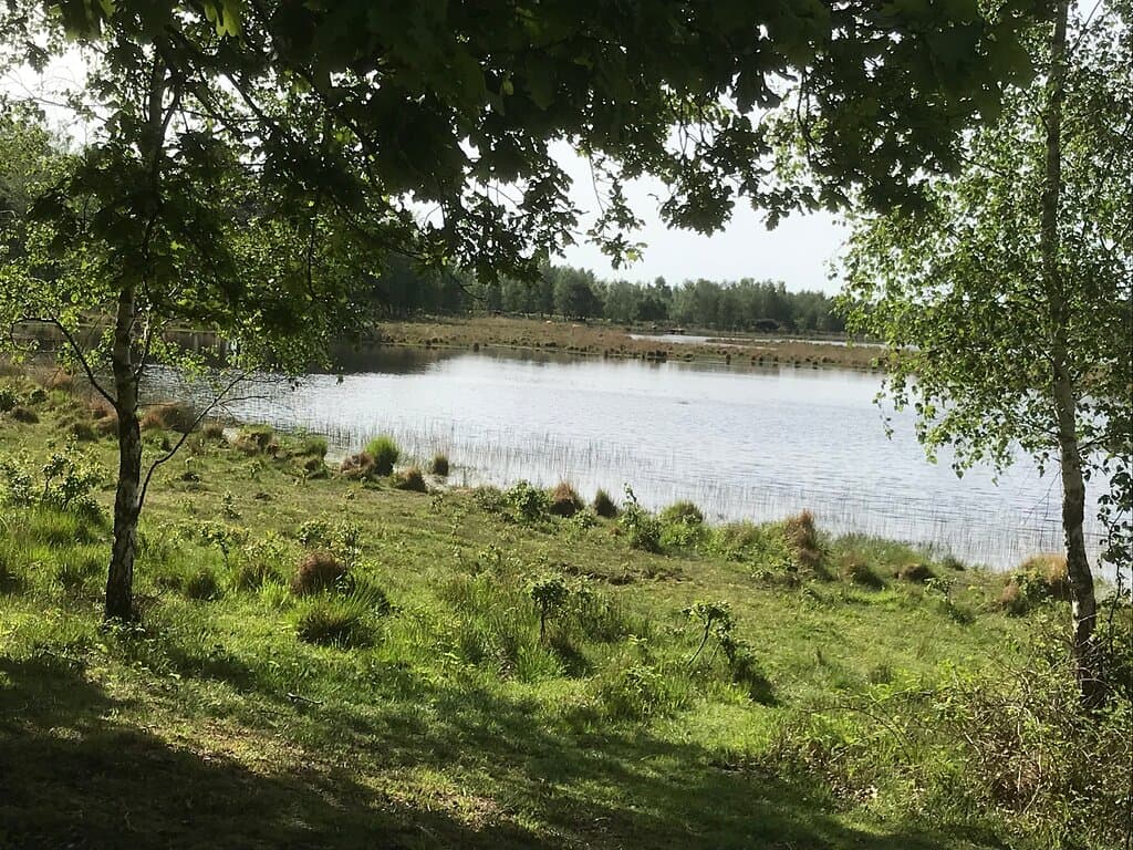 Ven in de zuidelijke route. de hooglanders in de achtergrond zijn moeilijk te zien op de foto.