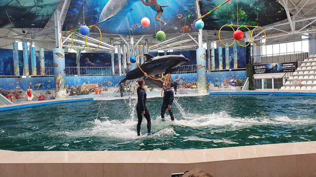 Yevpatoria Dolphinarium