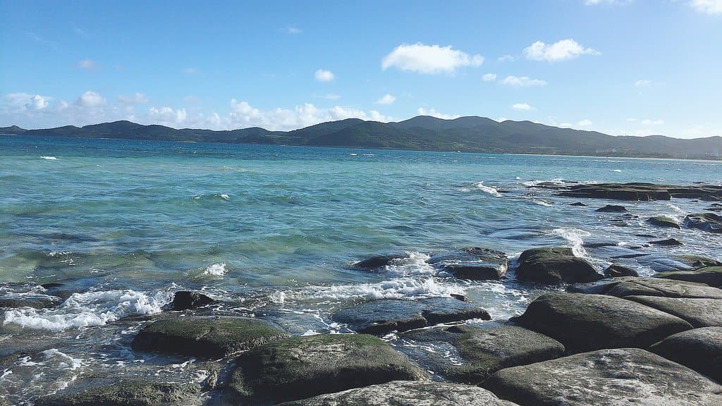 Tatami-ishi (Turtle-back Rocks)