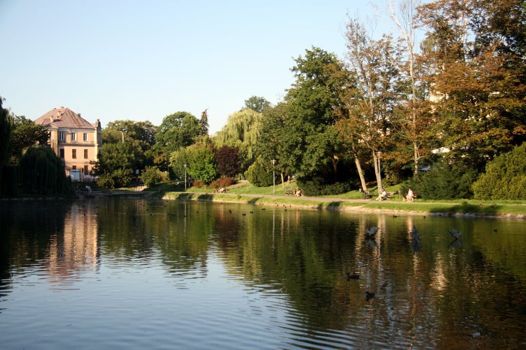 park miejski Kielce