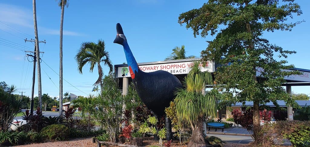 Big Cassowary