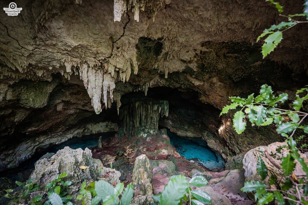 Discover the ancient limestone cave and crystal clear healing mineral water pool. We provide swimming masks. See artefacts from the cave and a timeline of Swahili history going back to the beginning of our story as humans originating in East Africa