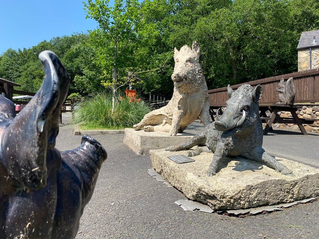 Boar statues