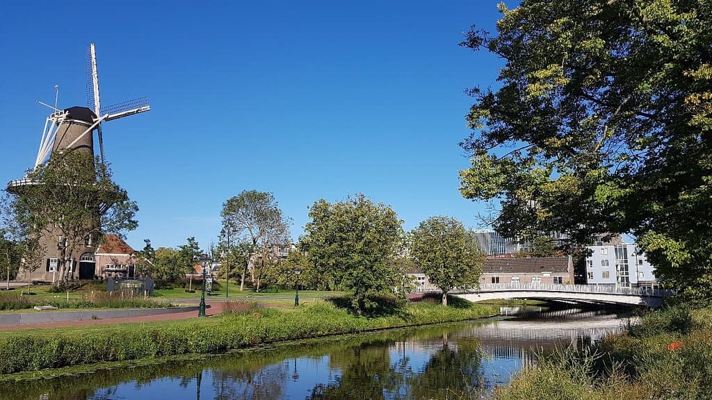 Singelpark