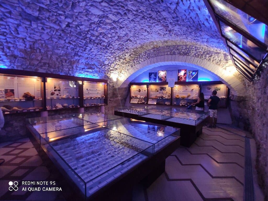 Vieste Shell Museum Museo Malacologico