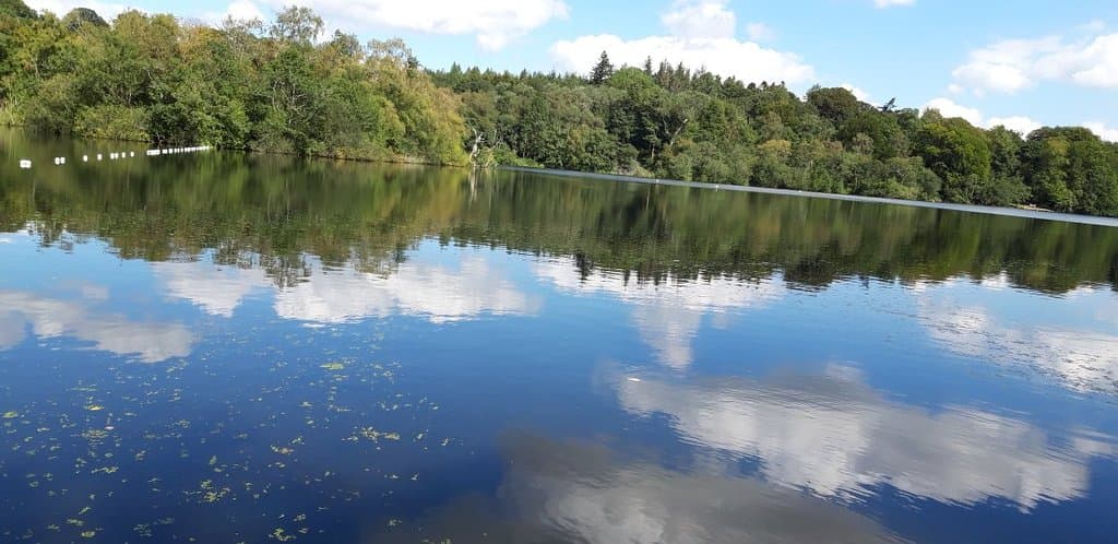 Bolam Lake Country Park
