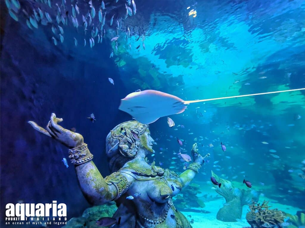 Stingray