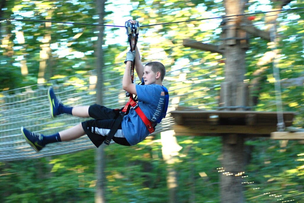 Zipline and climbing fun!