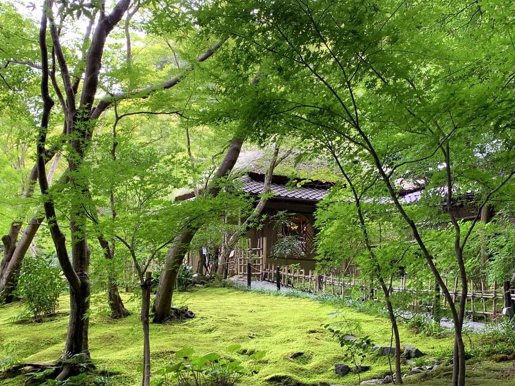 苔庭與草庵