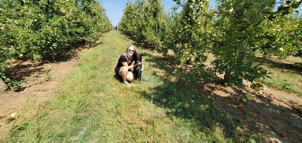 Eckert's Belleville Farm