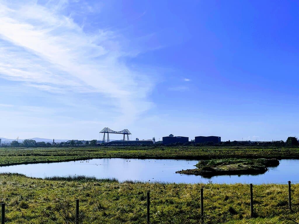 some lovely views of the reserve and the industrial backdrop