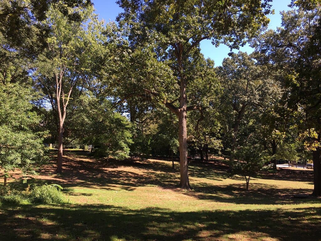 Consisting of 268-acres, this is the largest city park in Atlanta