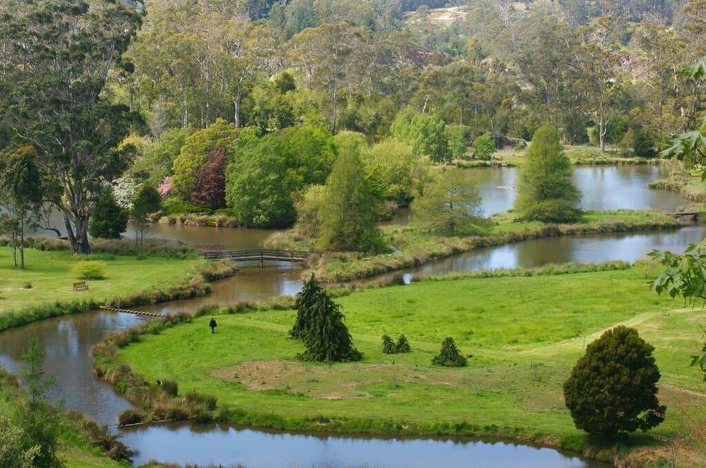 Founder's Lake