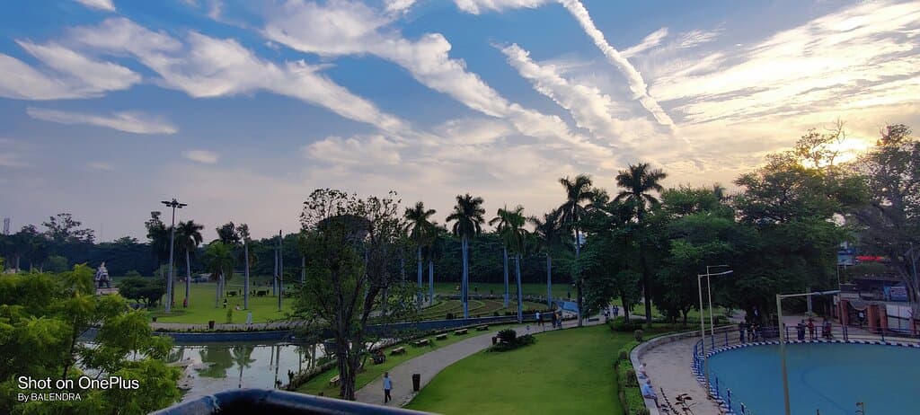 View from tree house