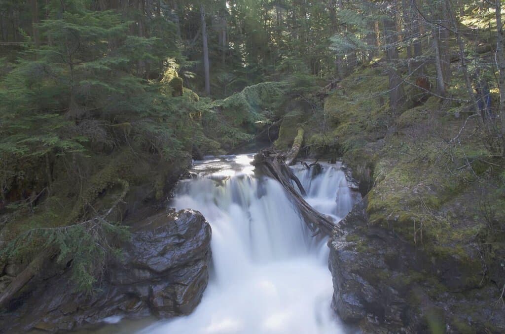 Summer time in Revelstoke BC .