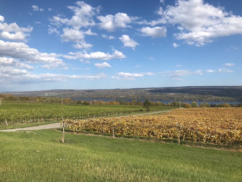 Anthony Road Wine Company