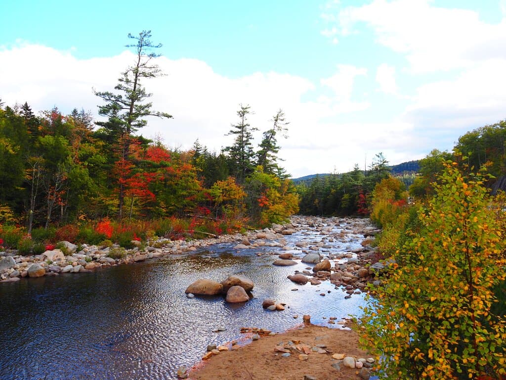 Lower Falls Swift River