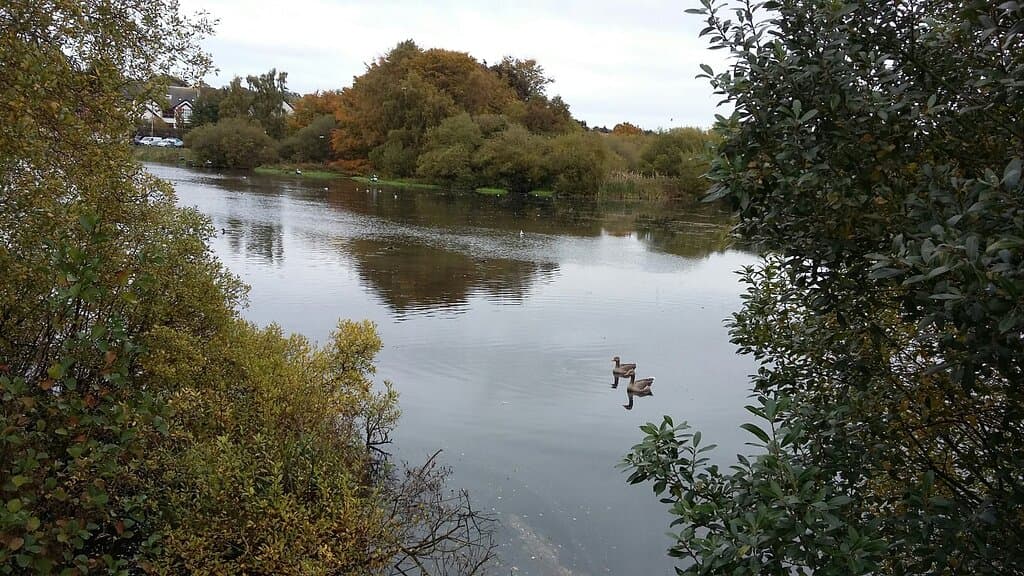Kiltonga Nature Reserve