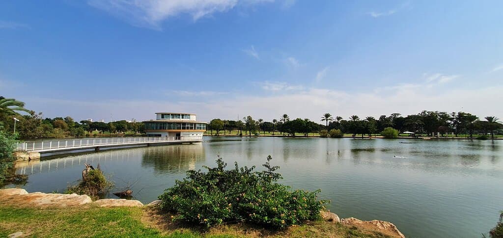 The park.