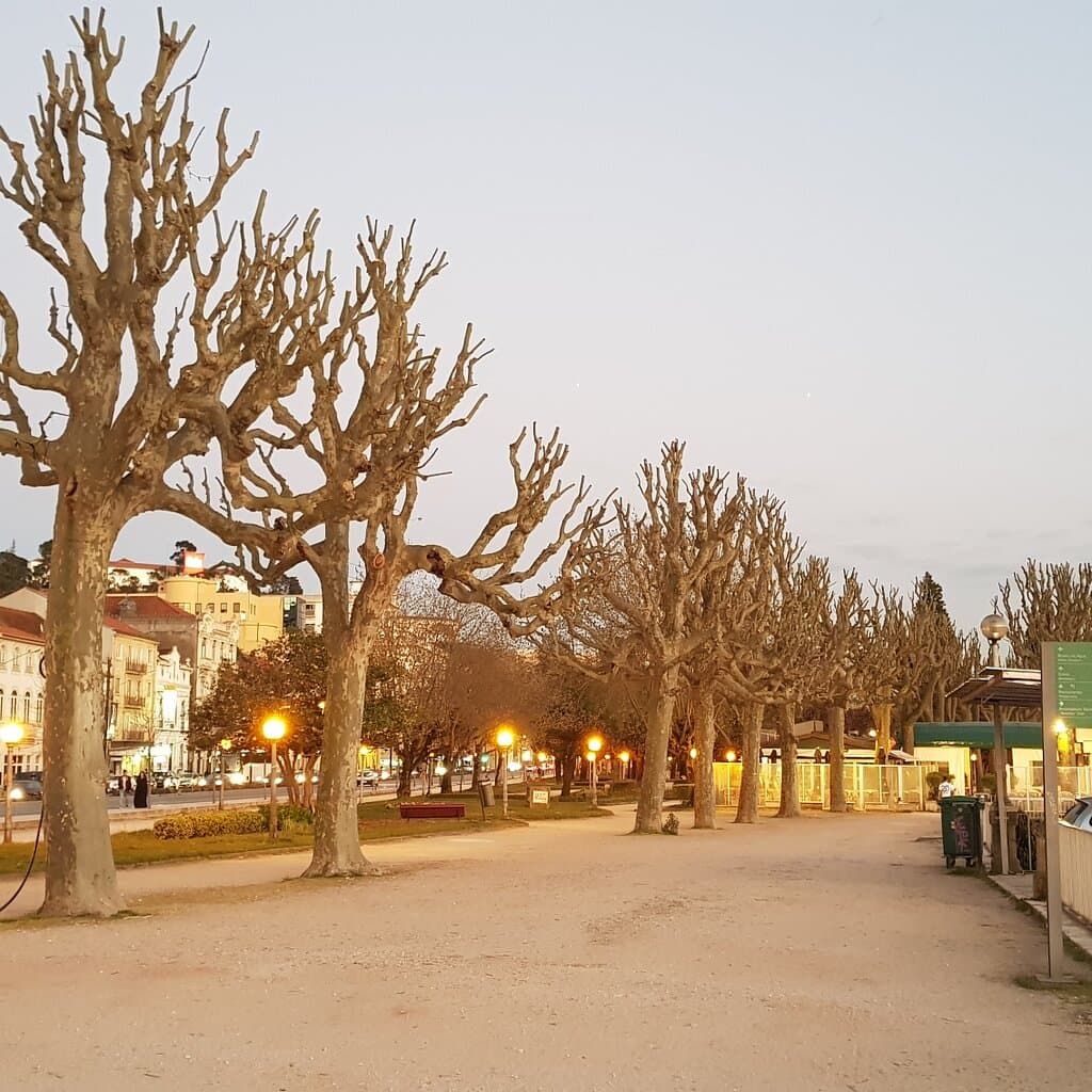 Parque emblemático da cidade de Coimbra, onde antigamente era feita a Queima da Fitas e a Latada. Recomendo uma visita para quem não conhece.