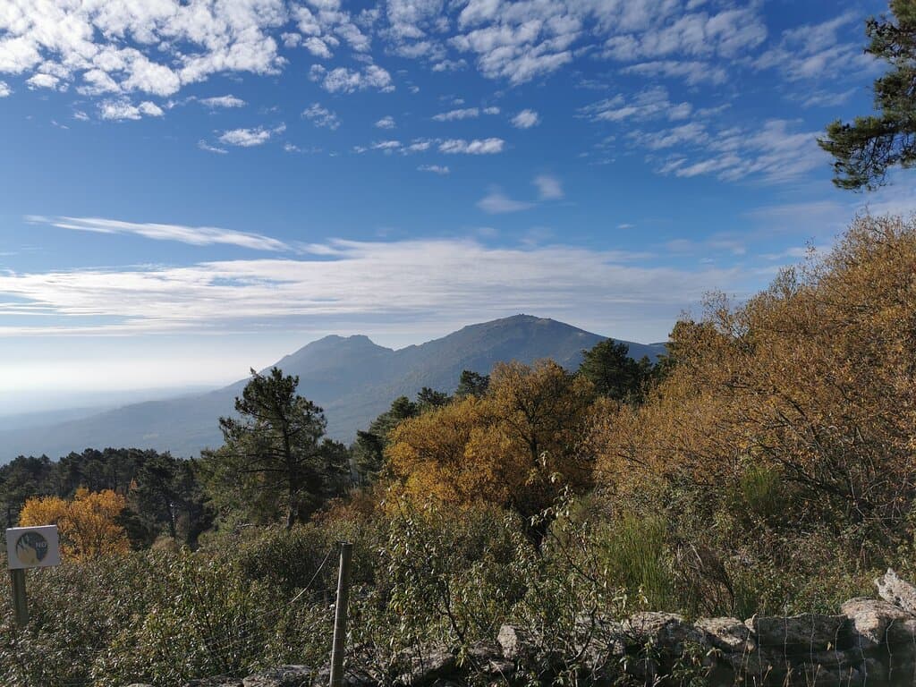 Arboreto Luis Ceballos 