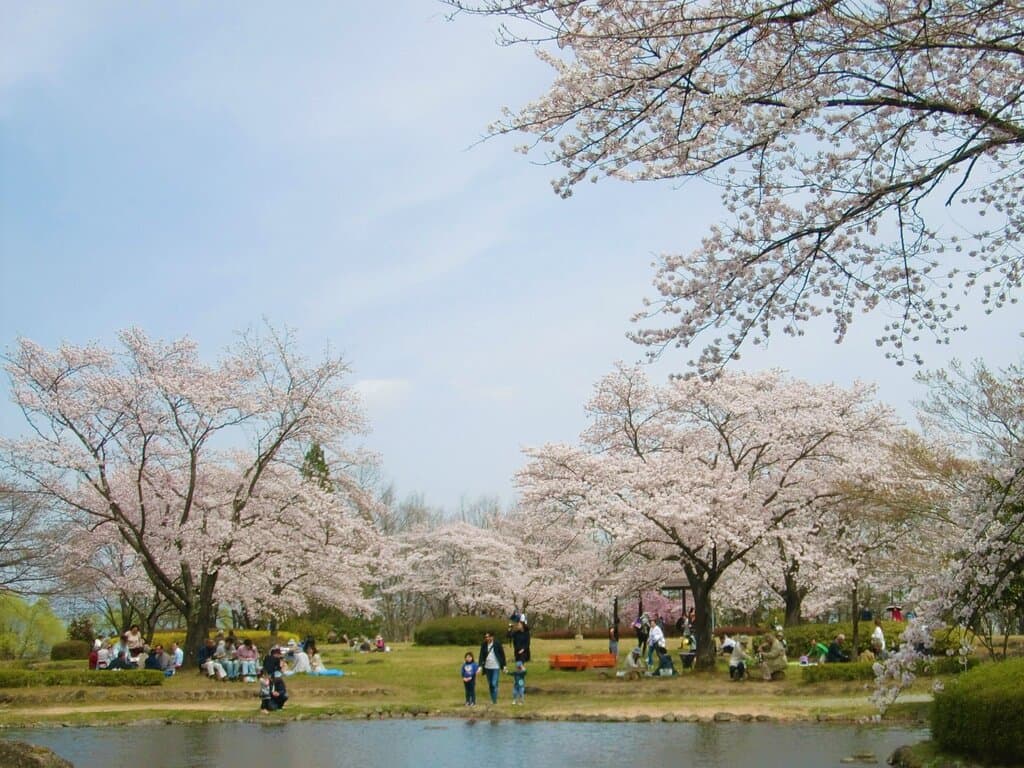 巨石広場
ソメイヨシノをはじめ、たくさんの花木が植えられた広場です。