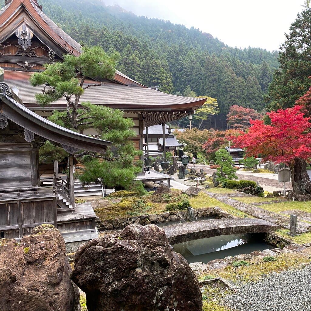 福知山長安寺の紅葉は、もう間も無くです。 来週末辺りからでしょうか