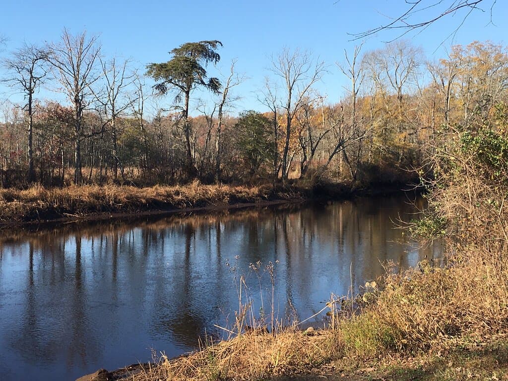 Long Bridge Park very good for simple hiking.